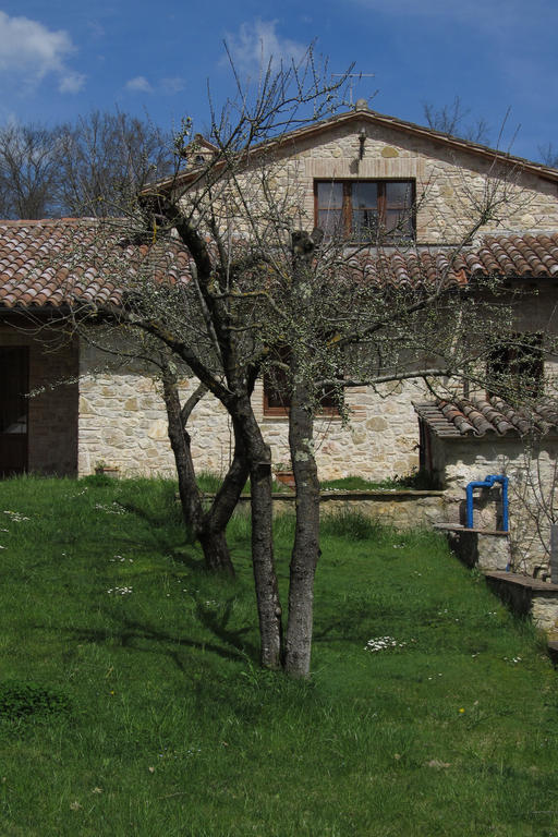 Il Vignale Konuk evi Massa Martana Dış mekan fotoğraf